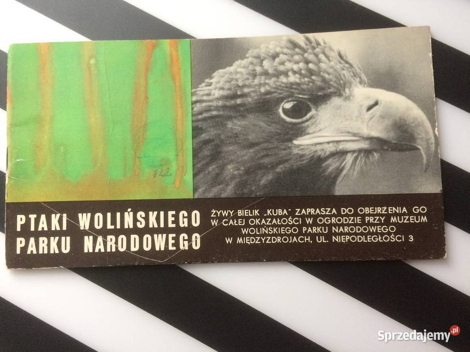 3558 Ptaki Wolińskiego Parku Narodowego Szczecin