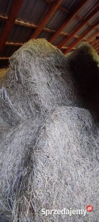 Sprzedam świeże siano drugi pokos 2025 Mąkoszyn