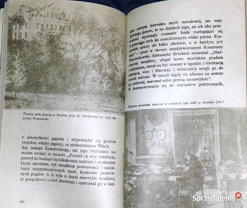 Józef Ignacy Kraszewski Antoni Trepiński Chełm sprzedam