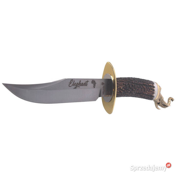Nóż Muela Big Five Deer Stag Satin 14116 Gift sprzedam