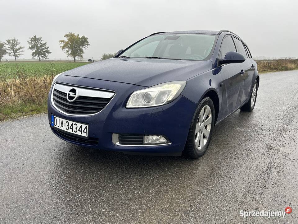 Opel Insignia 20 CDTI 2010r Insignia Targoszyn