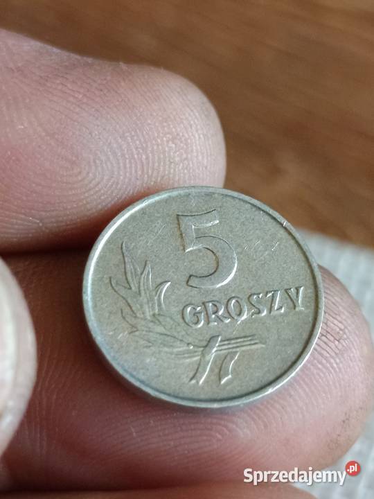 Sprzedam monete 5 groszy 1963 lll Chełm