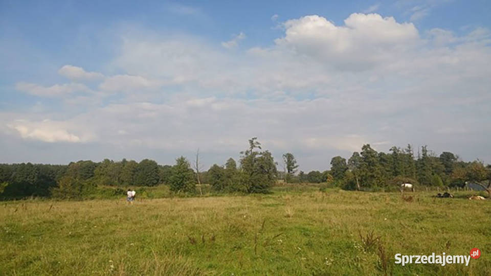 Działka rzeką Rawką Laski