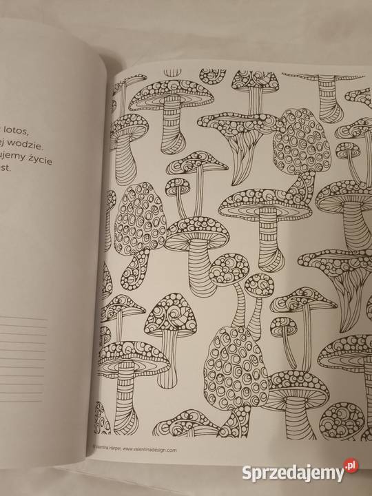 Kolorowanka antystresowa dorosłych sprzedam