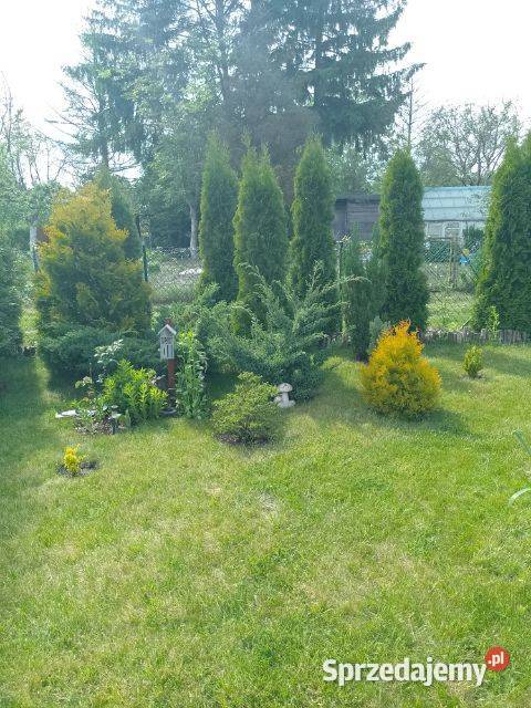 OKAZJA działka ROD Warszawa