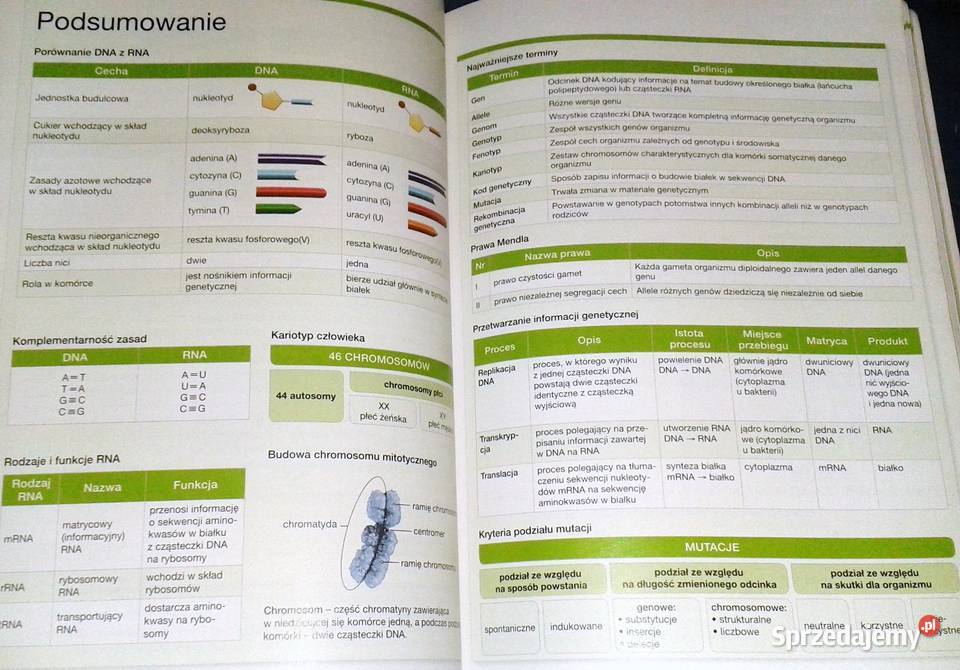 Biologia na czasie Emilia Bonar S Czachorowski Chełm