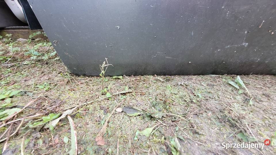 Drzwi Audi 80 B4 Części samochodowe Łagów