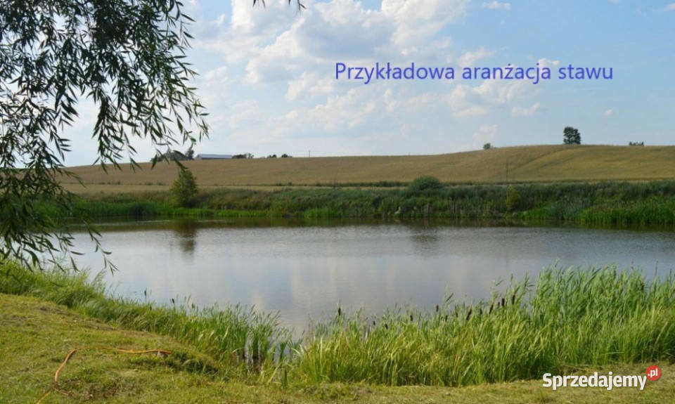 Mini ranczo pośród jezior Buk Góralski kujawsko-pomorskie