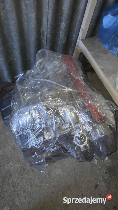 Ness Goka Buggy 1300 Nowy Sącz