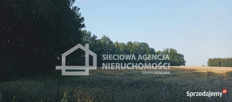 Grunt na sprzedaż 32911m2 Wilkowo Nowowiejskie