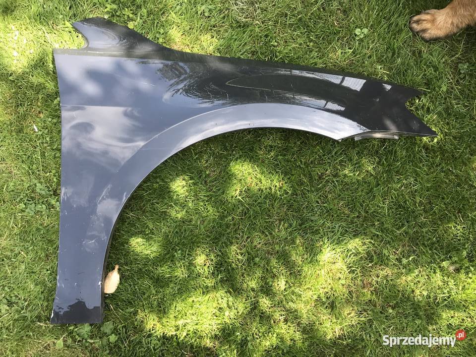 Błotnk samochodowy Pozostałe Mnich