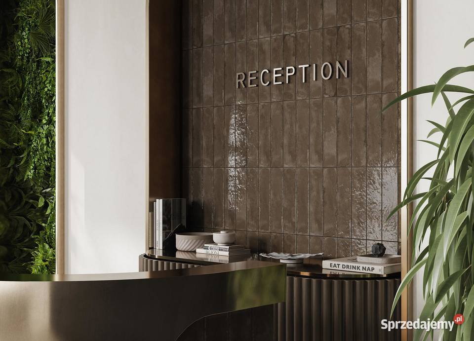 Płytki łazienkowe ścienne szkliwione cegiełka mazowieckie Radom