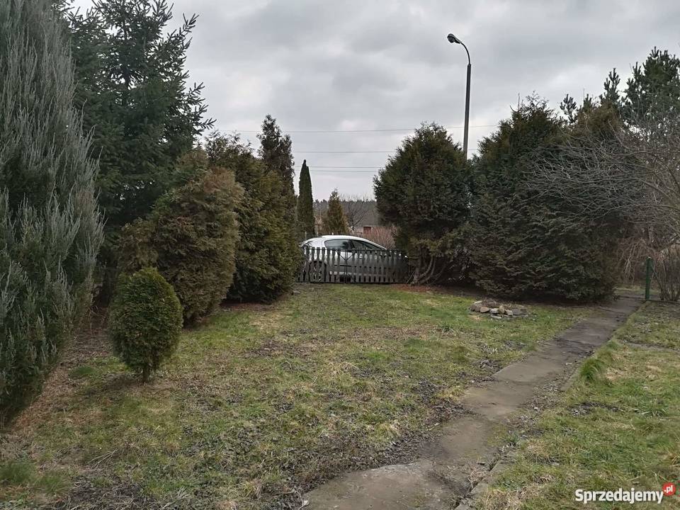 Działka ROD Miłoleśna Grudziądz sprzedam