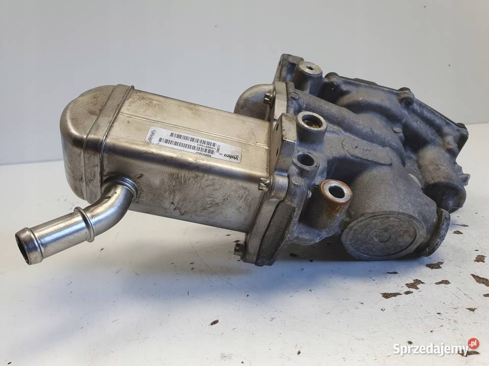 Renault Scenic III 19 DCI CHŁODNICA SPALIN egr Rudka