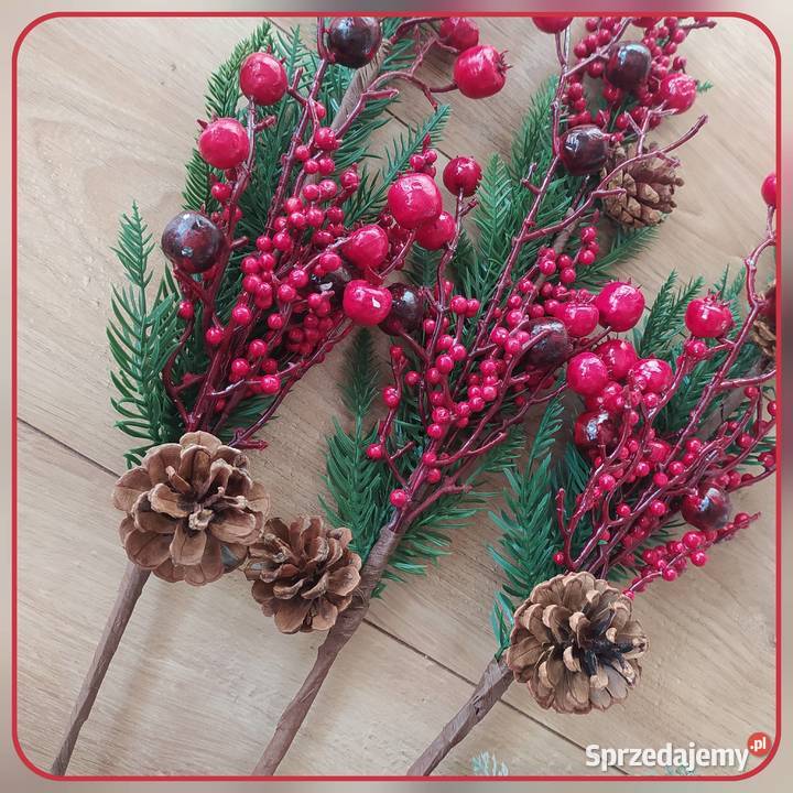 Gałązka bawełny dekoracyjna ostrokrzew biały Koszalin