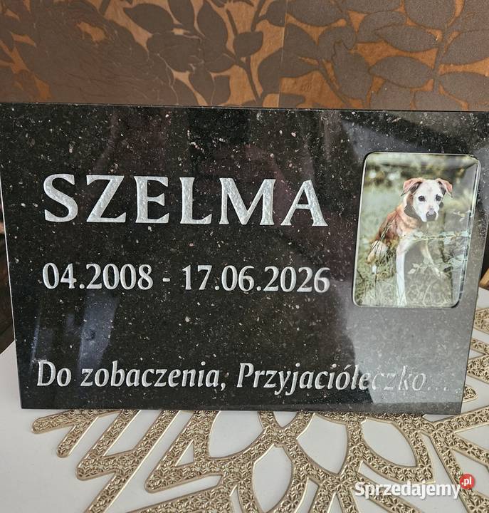 Pomnik psa podkarpackie Czermin