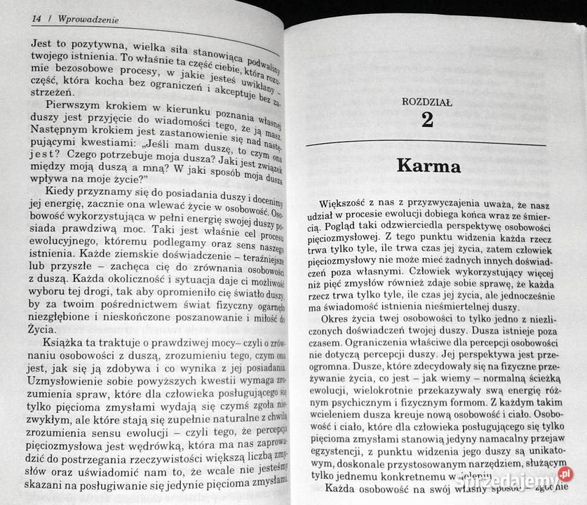 Siedlisko duszy Gary Zukav miękka