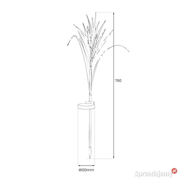 Lampka Solarna Wheat 3000K IP44 Pozostałe Starokrzepice