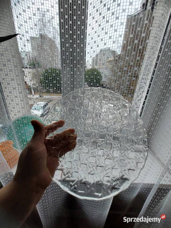 Patera zabkowice i sledziowka hortensja śląskie Częstochowa sprzedam