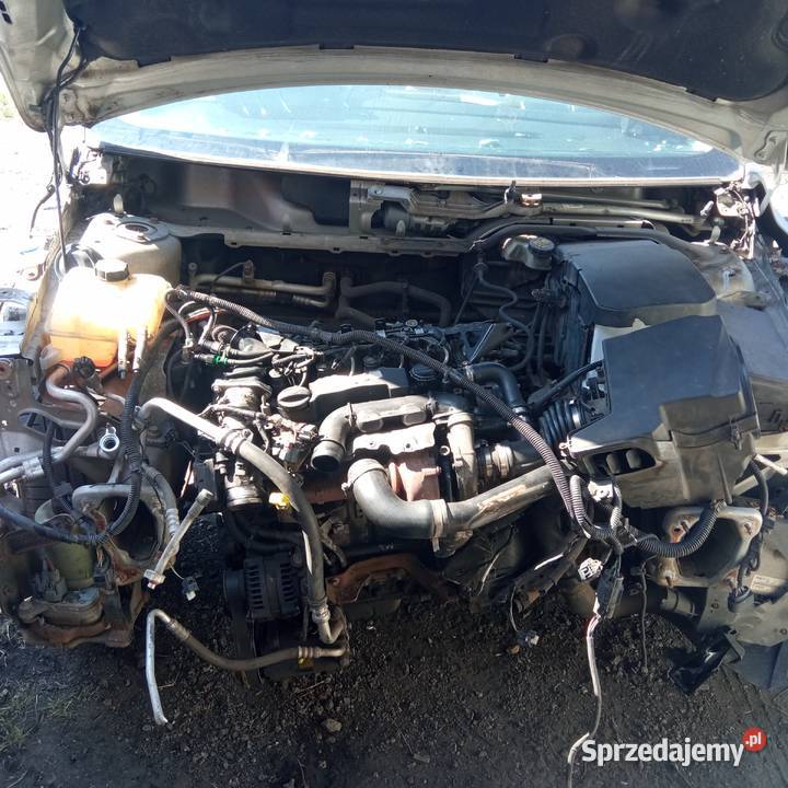 Silnik kompletny ford focus MK2 16 TDCi 109 zachodniopomorskie Szczecin