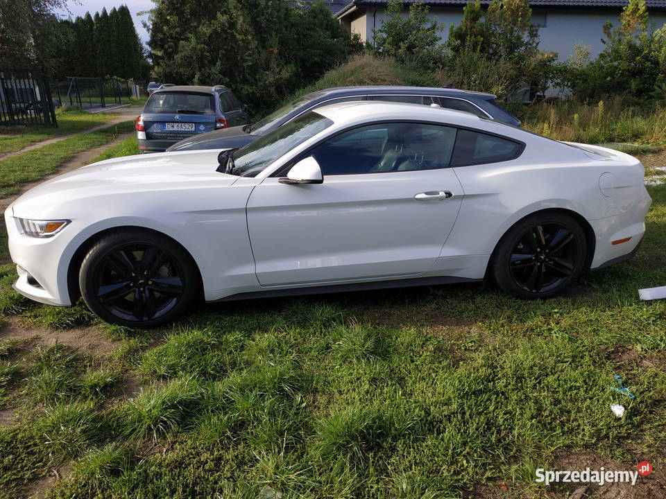 Syndyk sprzeda Ford Mustang Wrocław