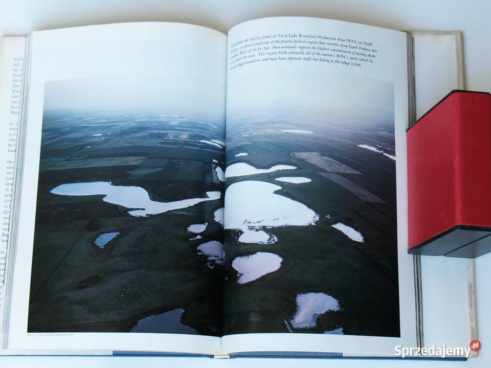 Wild Lands for Wildlife Americas National Kraków sprzedam