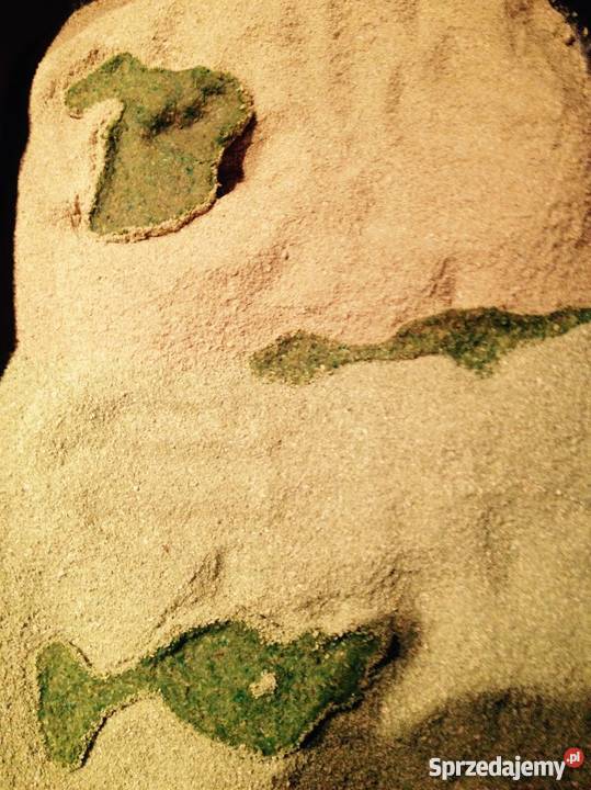 Piasek kotaSuper delikatny5LzbrylaHIT Gdańsk sprzedam