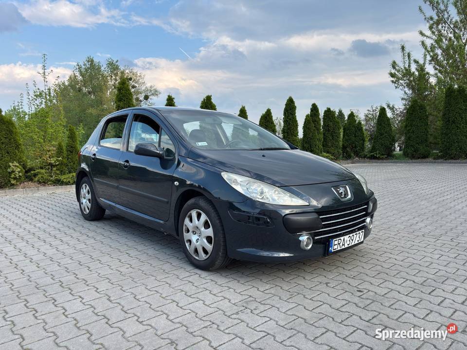Peugeot 3072005 benzyna Oleśnica