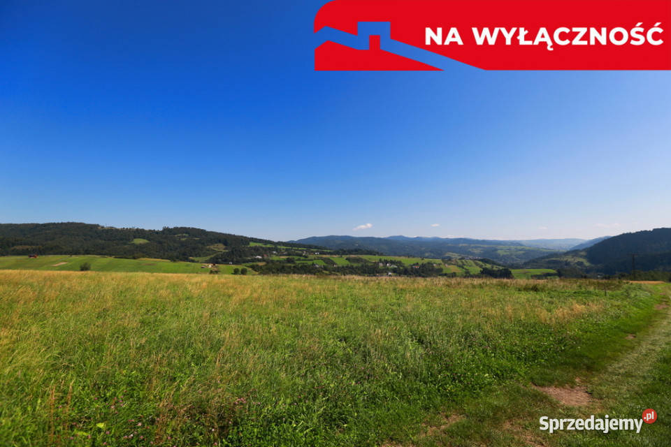 Działa w Grywałdzie z możliwością uzyskania WZ Grywałd