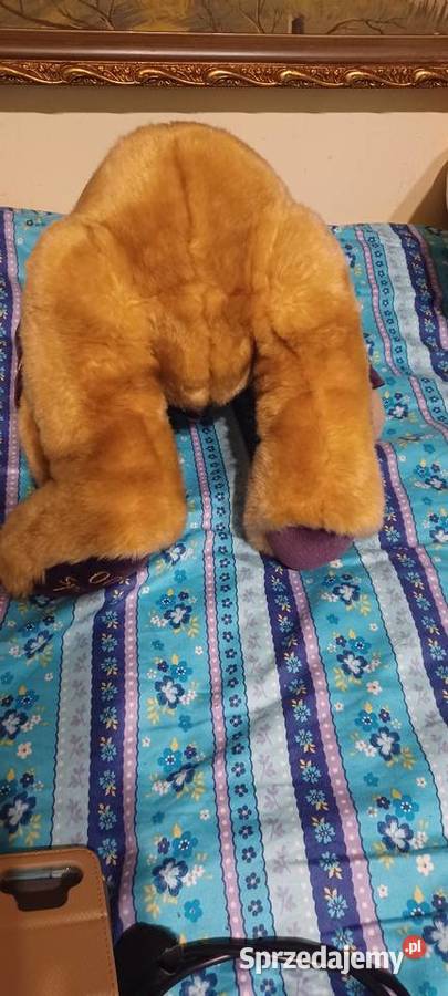 miś 2000 datowana na stopę HARRODS BEAR Poznań