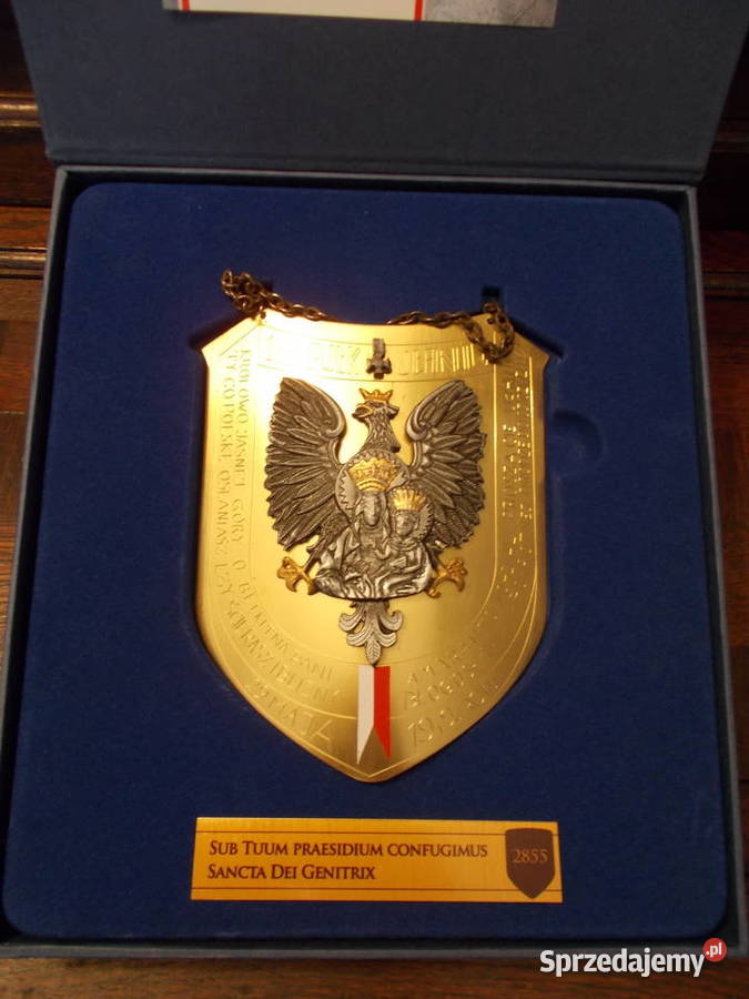 Ryngraf1szy Pułk Ułanów9 maja 1942Pod Twoją Kolekcje Szczecin sprzedam