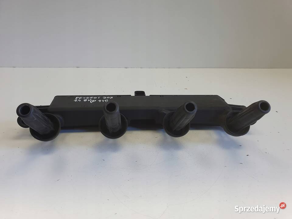 CEWKA ZAPŁONOWA Peugeot 307 14 8V 9654814480 Rudka