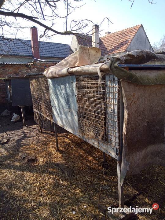 Sprzedam klatki Brennik