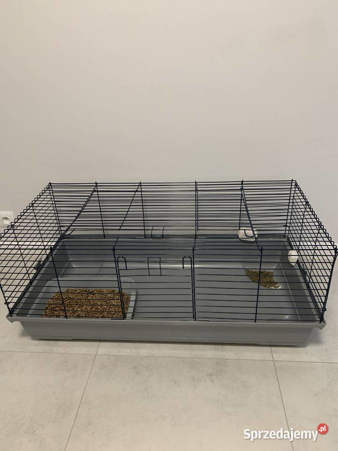 Klatka królika 100x50x42 Radom