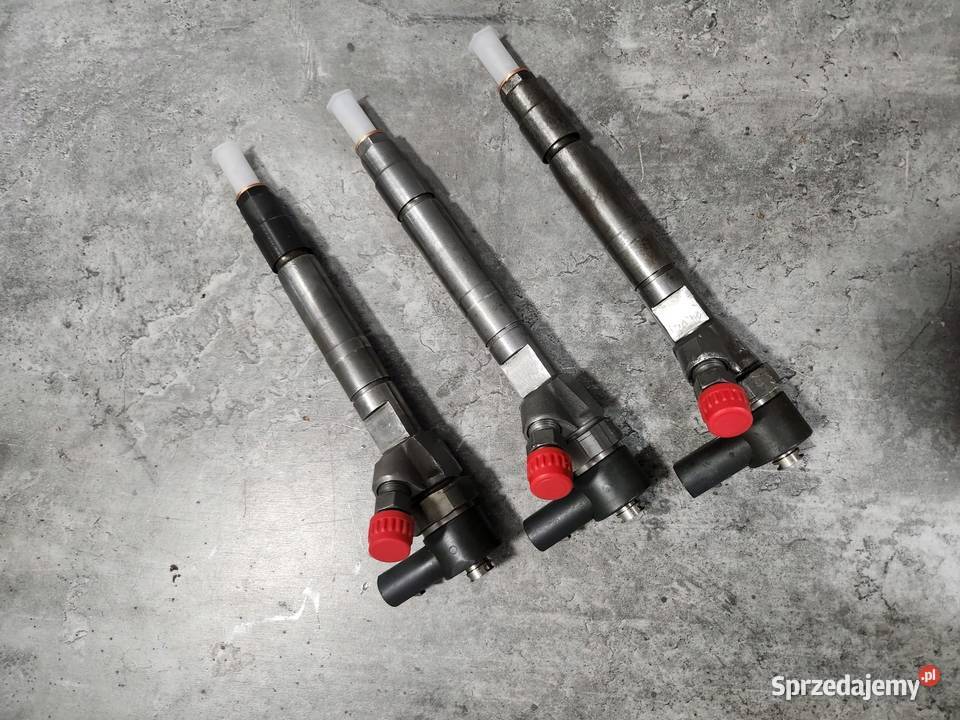 Wtryskiwacz Bosch 0445110096 MERCEDES Benz 22 32 pomorskie Kartuzy