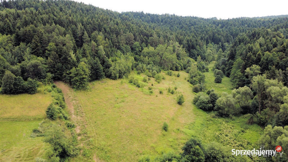 Grunt Mystków 8000 metrów 8475m2 małopolskie sprzedam