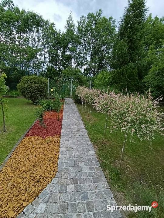 Sprzedam ogródek działkowy Zabrze ROD Kaprys sprzedam