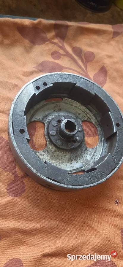 Koło magnesowe Wfm Magneto Układ elektryczny, zapłon