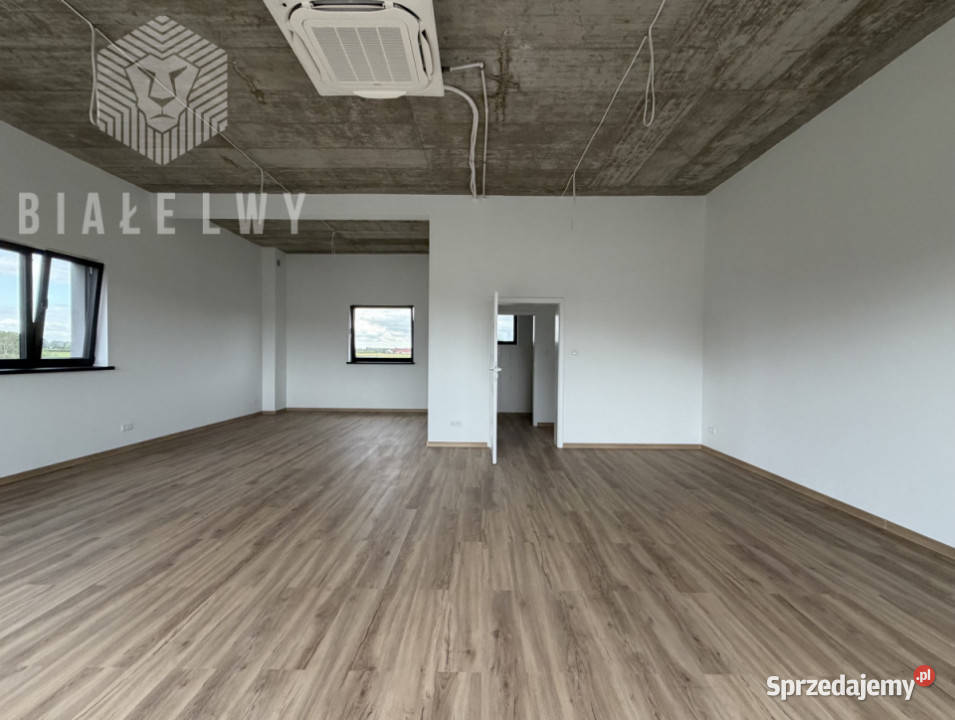 Lokal Prażmów Piotra Czołchańskiego 791m2 handlowo-usługowy