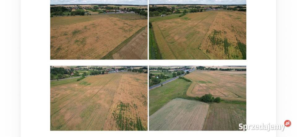 Działki gruntowe nie zabudowane Świebodzin