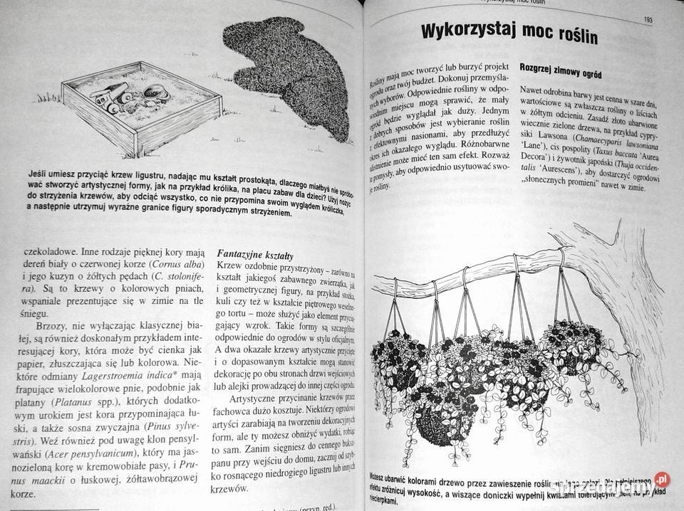 Oszczędny ogrodnik Rośliny narzędzia nawożenie Chełm