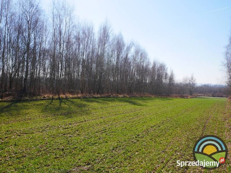 Morawica gm Liszki dzialka 2803 m2 pod produkcję