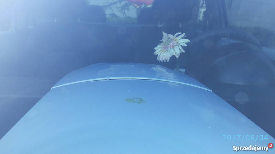 Bezwstydnie ładny BEETLE mazowieckie Warszawa sprzedam