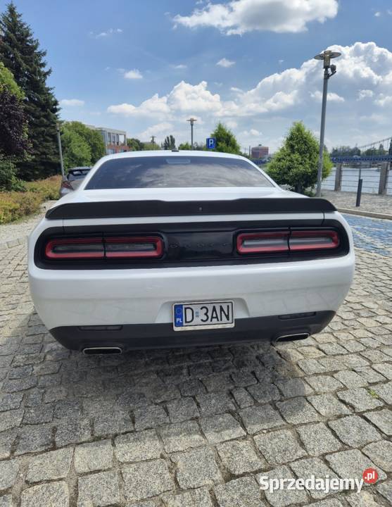 Dodge Challenger SXT 36 V6 2020 305 nieuszkodzony Challenger Wrocław