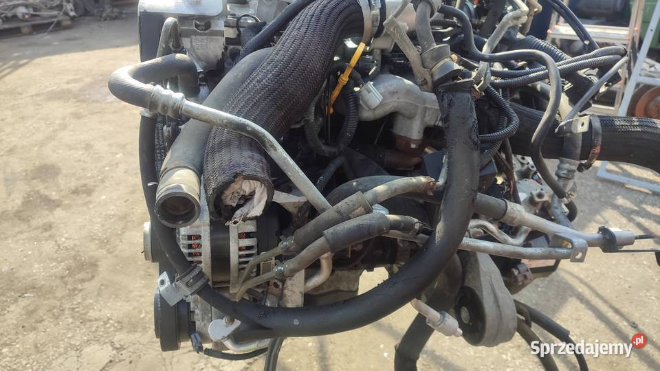 SILNIK OPEL ANTARA CAPTIVA 20 VCDI Z20SI SUPER Skrzynie biegów automatyczne Włoszczowa sprzedam