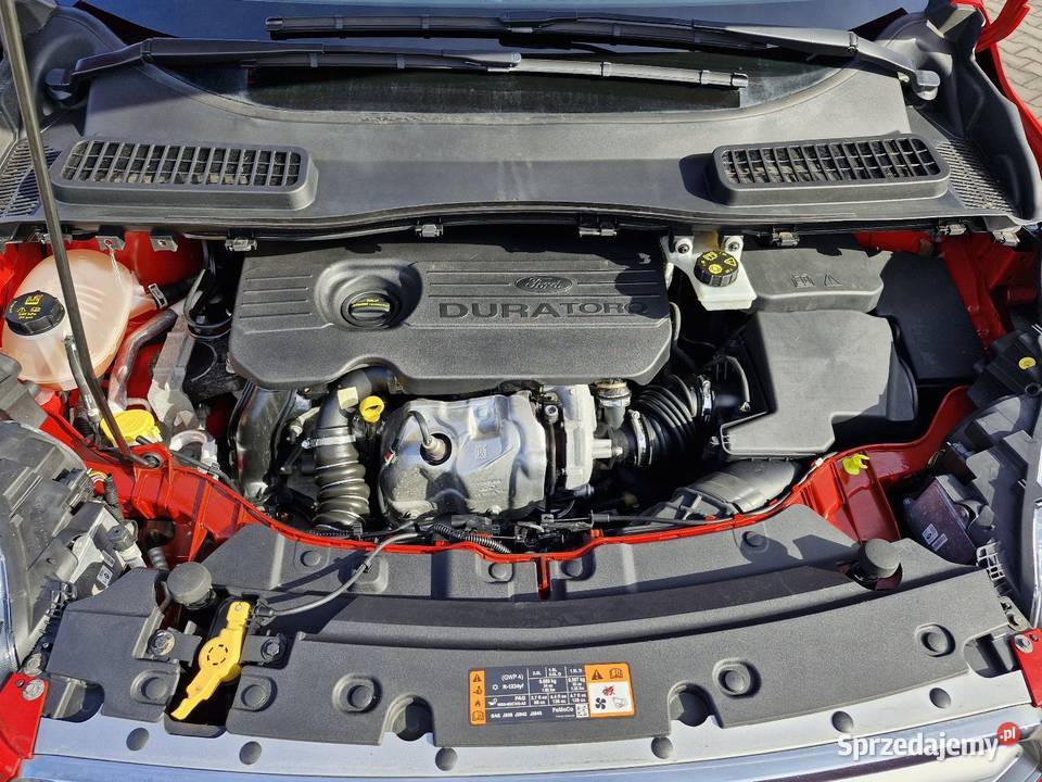 Sprzedam ładnego Forda Kuge 2018 15 diesel kujawsko-pomorskie Radziejów sprzedam