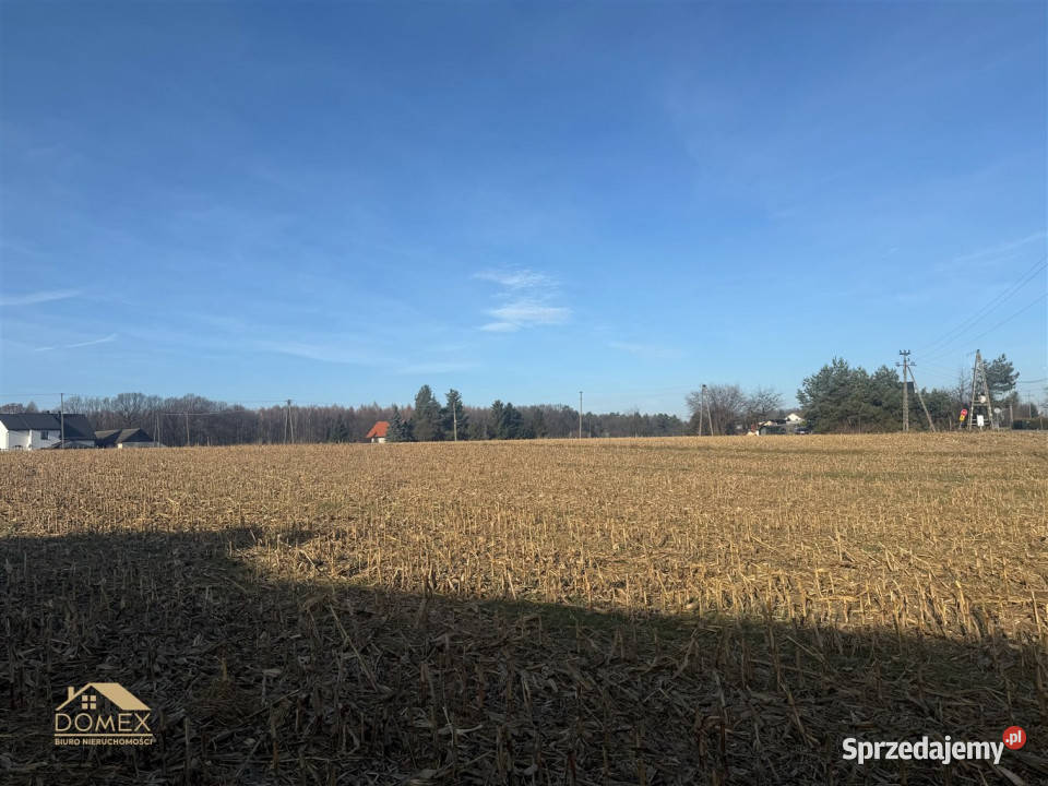 Grunt do sprzedania Dębowiec 1150m2 utwardzona
