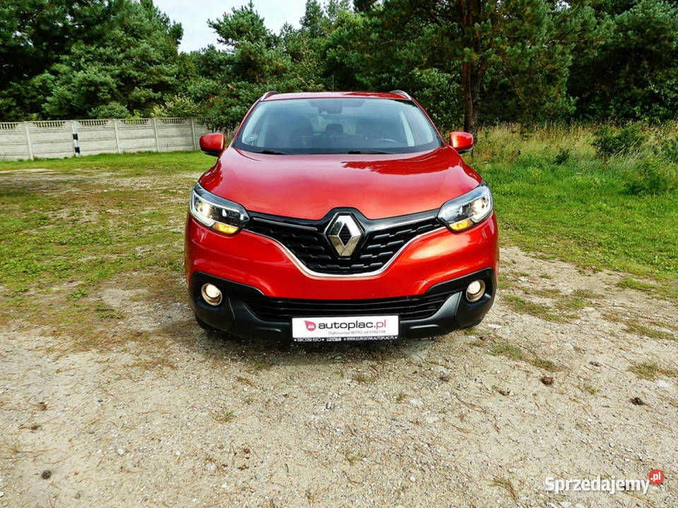 Renault Kadjar 15