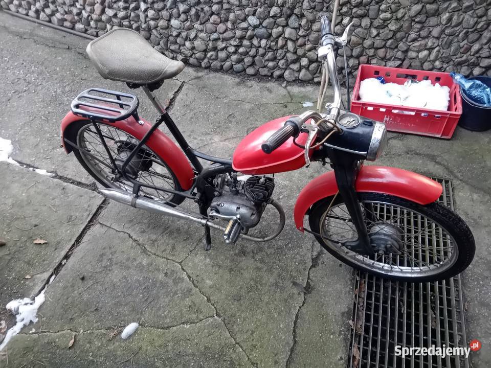 Komar sztywniak sprawny