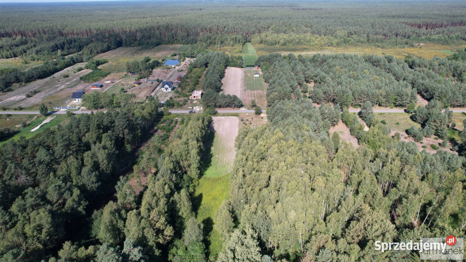 Grunt Andrzejówka 4100m2 Sprzedaż sprzedam